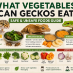 What vegetables can geckos eat? A species-specific guide showing Leopard Gecko, Crested Gecko, suitable vegetables, and feeding considerations.