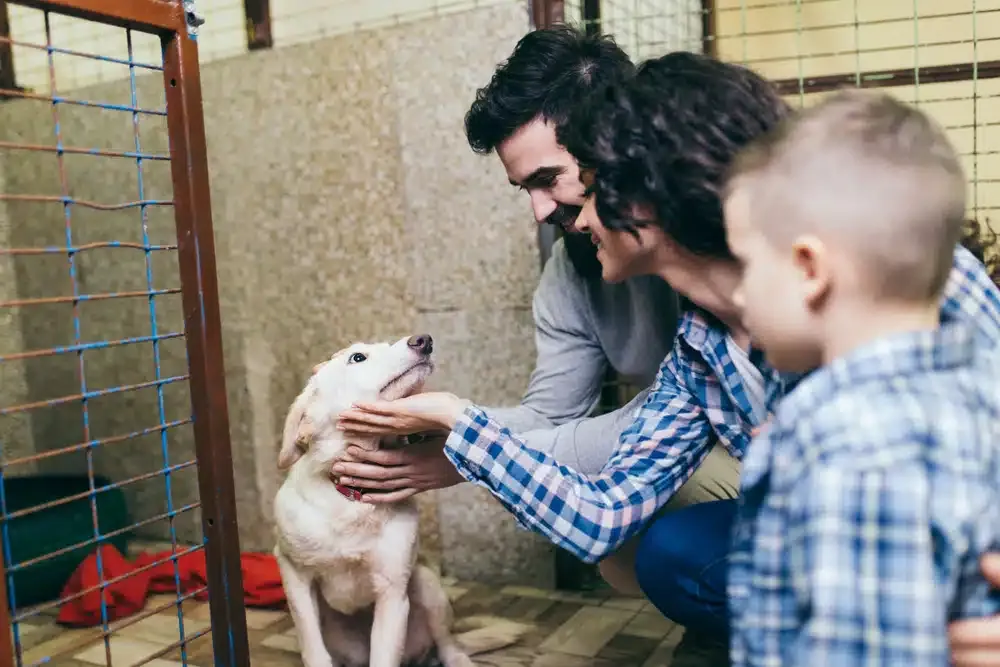 The Real Cost of Owning a Dog in 2026: First Year, Annual, and Lifetime Numbers 12 Family adopting a dog — first-year costs of owning a dog run $2,200 to $4,900 depending on size