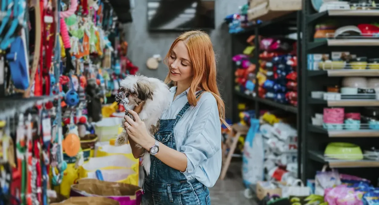 Black Friday pet deals — dog gear, beds and feeders on sale