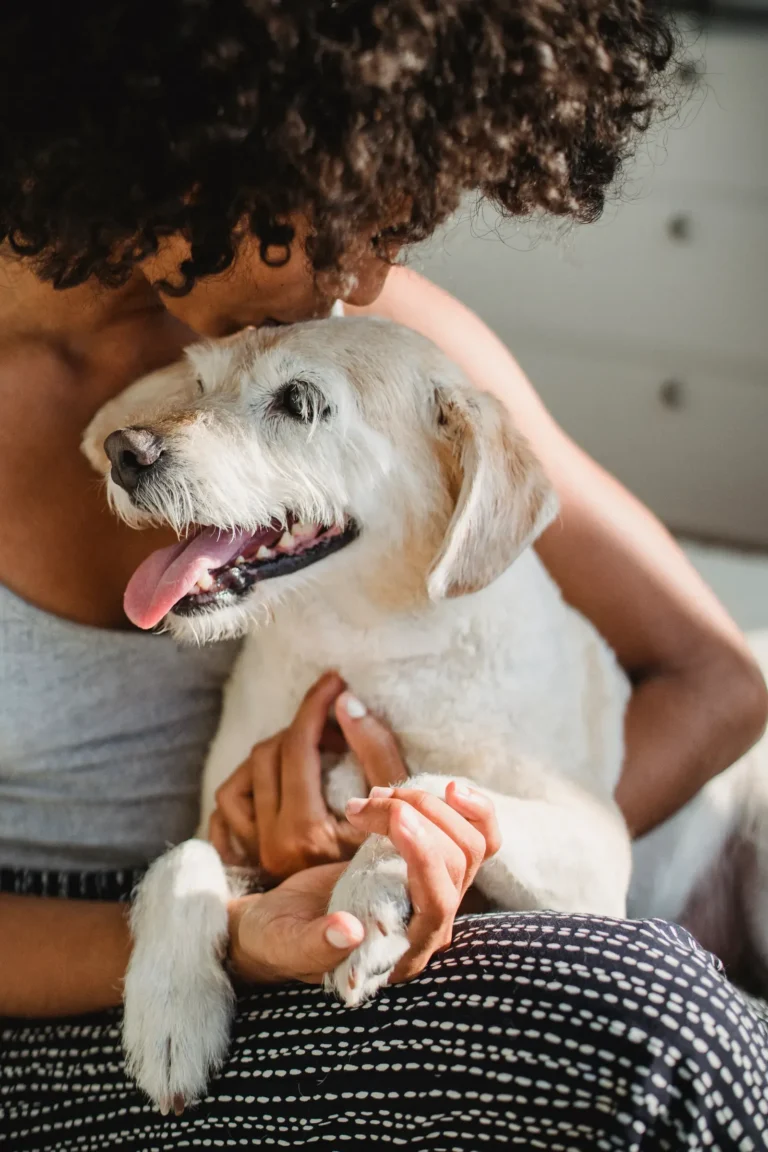 Owner hugging their dog — 12 science-backed bonding methods