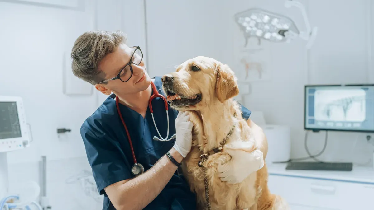 Golden retriever at the vet — does pet insurance cover cancer treatment?