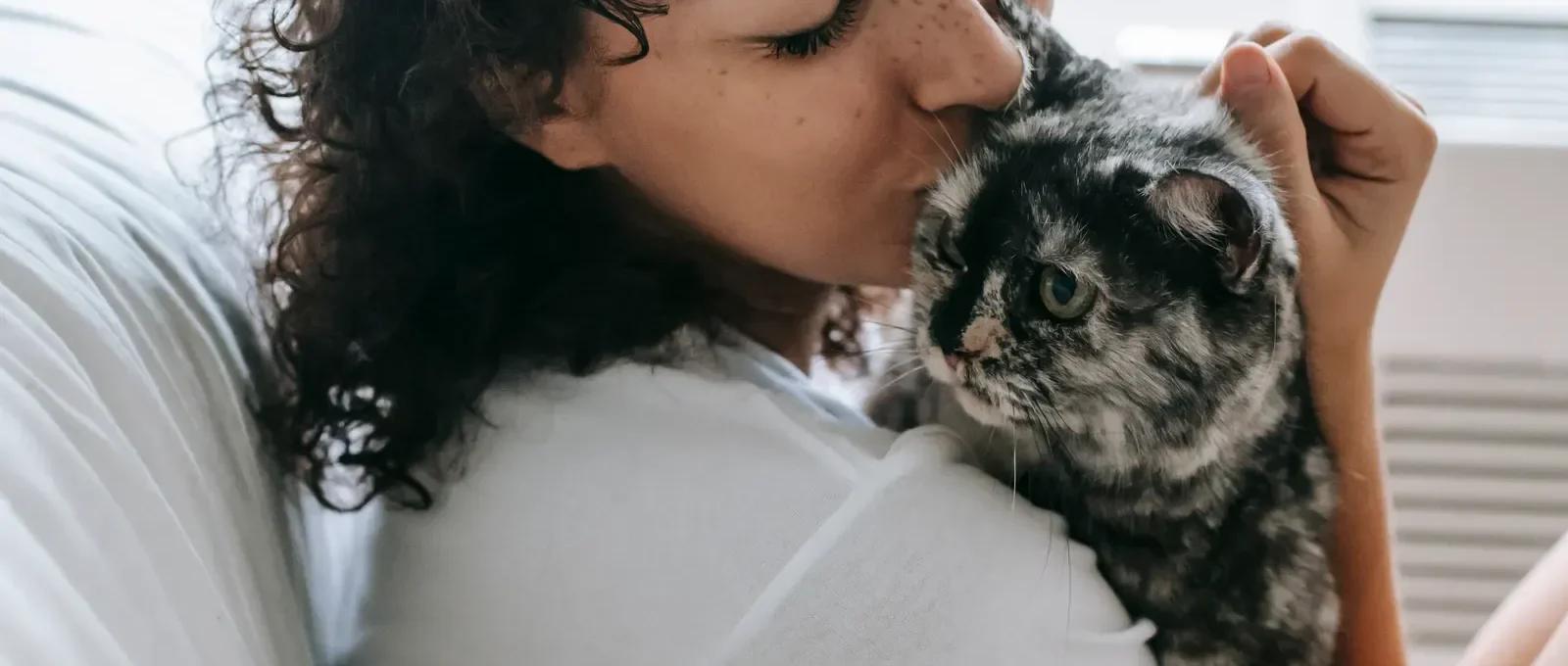 Cat cuddling its owner — 7 signs your cat loves you