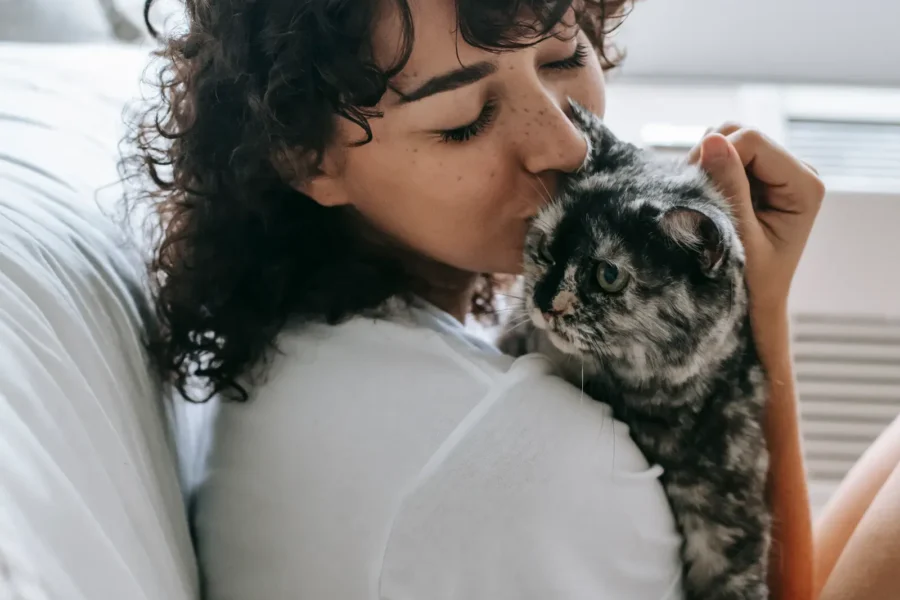 Cat cuddling its owner — 7 signs your cat loves you