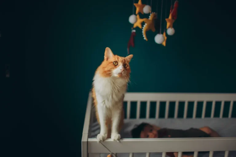 Cat and newborn baby safely coexisting at home