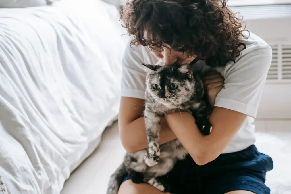 5 Ways To Gain The Trust Of Your Cat Pet 14 Cat rubbing against a leg — trust milestone reached
