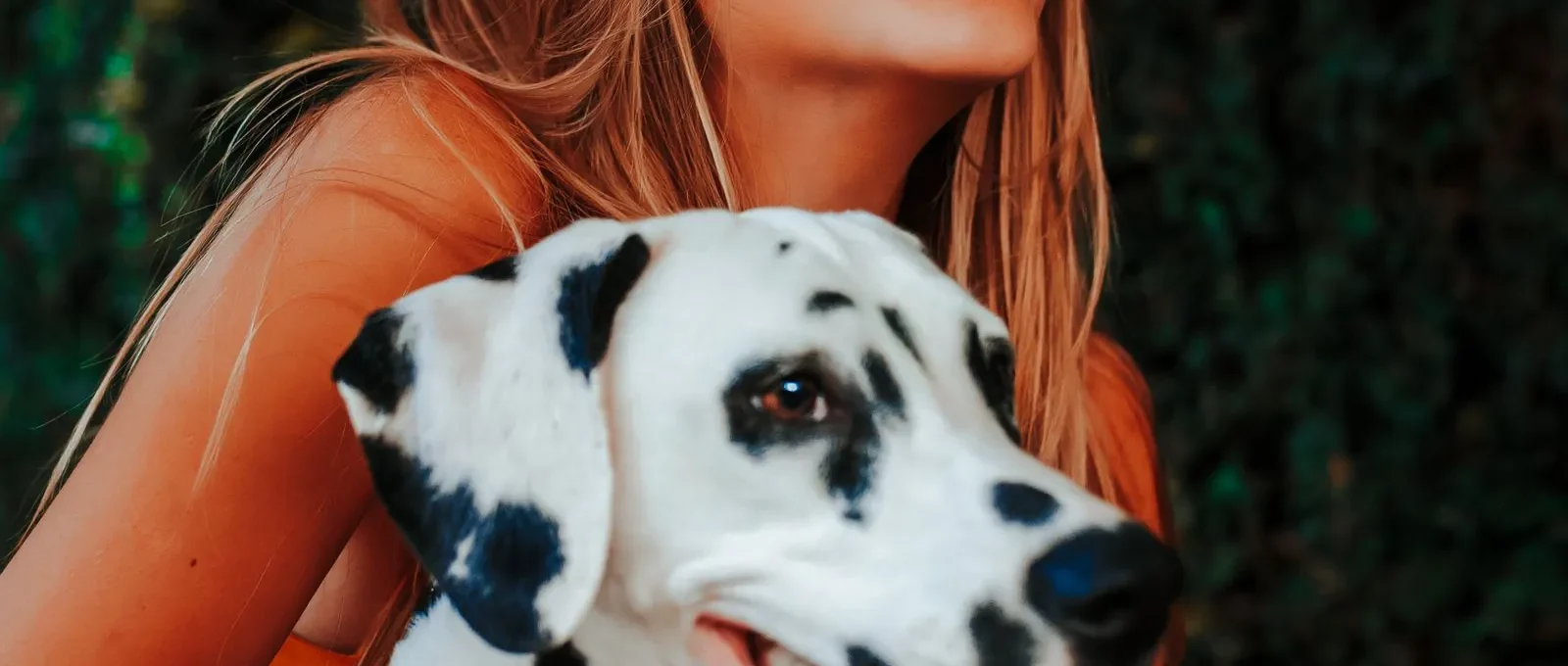 Happy dog with owner — finding the cheapest pet insurance for dogs starts with comparing plan terms
