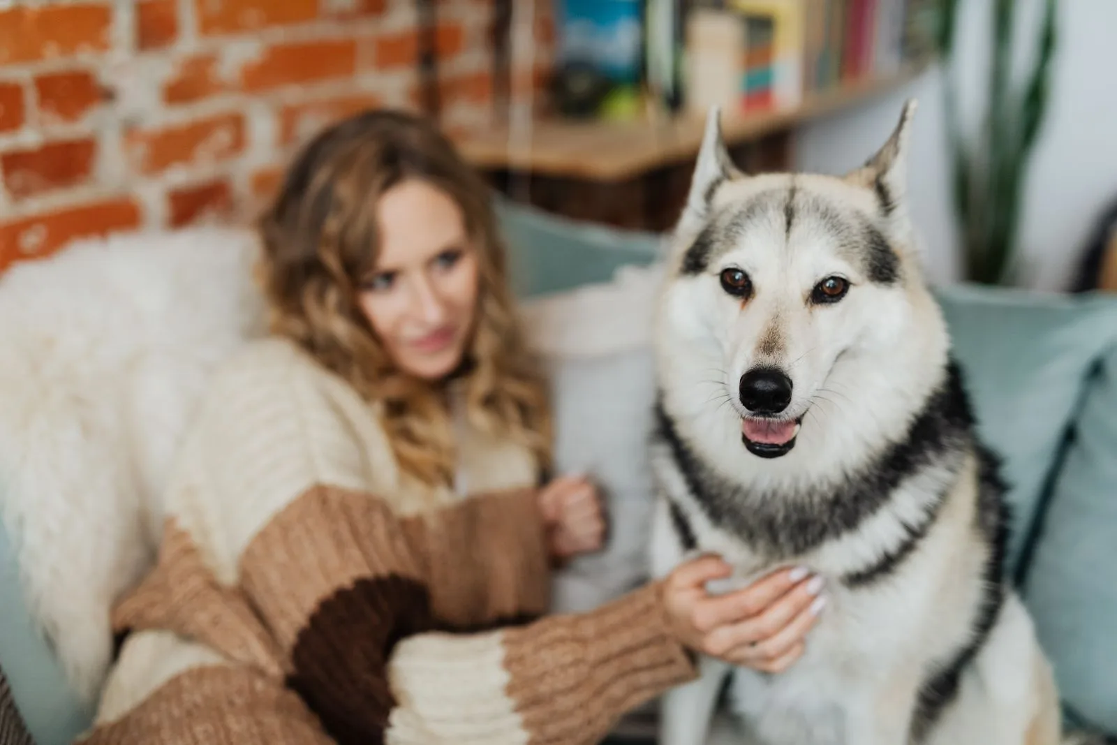Accident Only vs Comprehensive Pet Insurance: Which Is Worth It? (2026) 14 Woman with her husky at home — five questions decide which insurance tier you need
