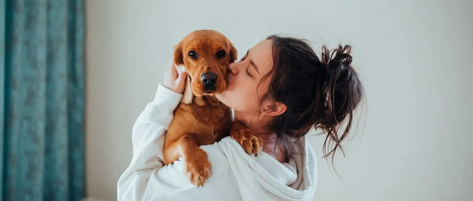 Owner cuddling their dog — reasons you'll want to cuddle yours often