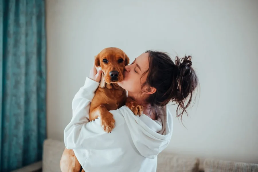 Owner cuddling their dog — reasons you'll want to cuddle yours often