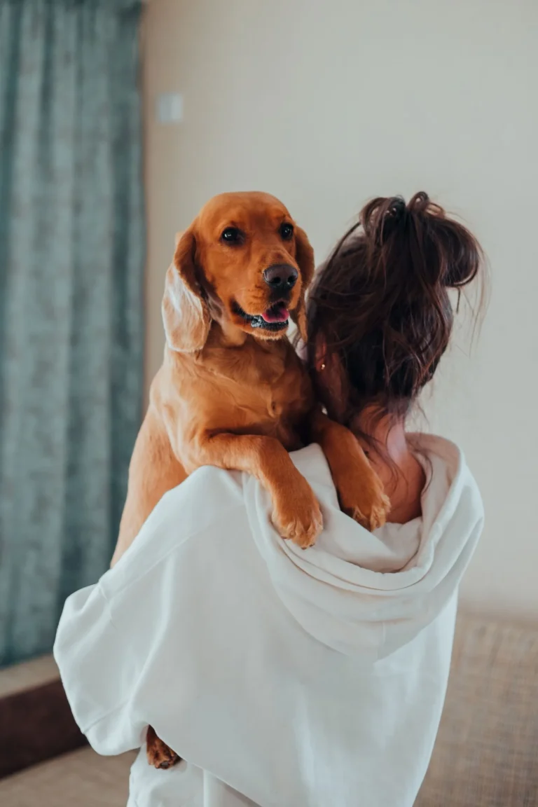Dog cuddling its favorite person — how dogs choose