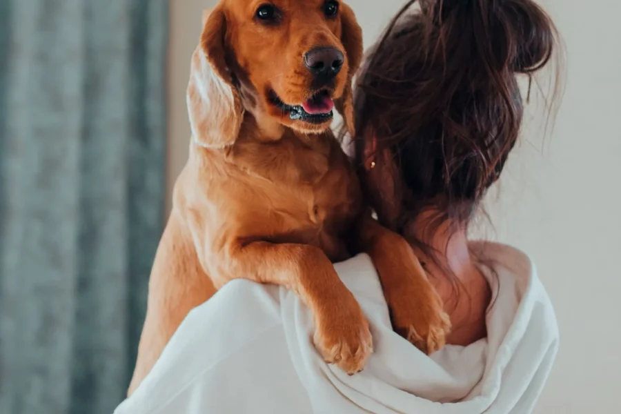 Dog cuddling its favorite person — how dogs choose