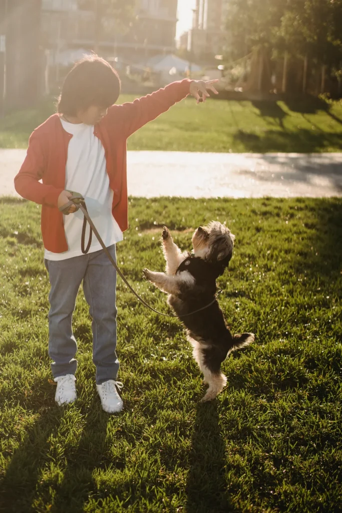 How to Raise a People-Friendly Dog: The Complete Guide to Socialization That Actually Works 13 Friendly dog playing gently with children