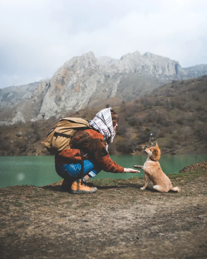 Hiking with a dog — shared adventures cement bonds