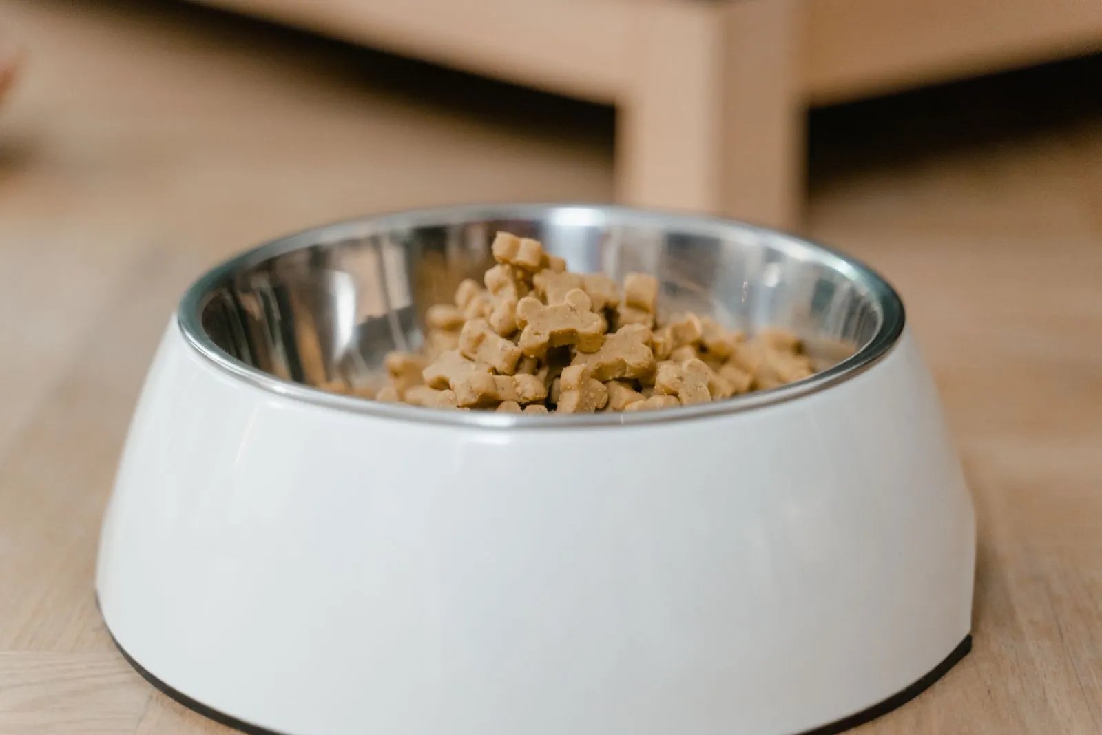 Best Dog Food for Sensitive Stomachs (2026): What Actually Helps 12 Best dog food for sensitive stomachs — bowl of gentle limited-ingredient kibble