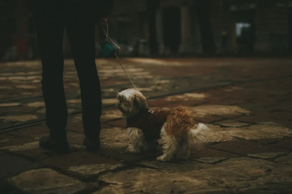 Dog pulling on leash — jerking the leash injures necks