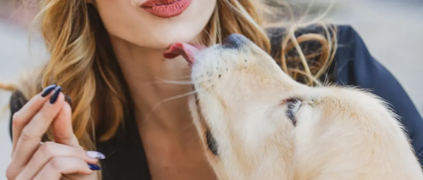 Dog licking owner's face — why does my dog lick me so much?
