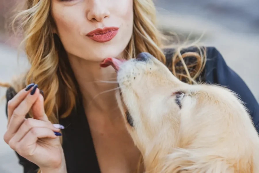 Dog licking owner's face — why does my dog lick me so much?