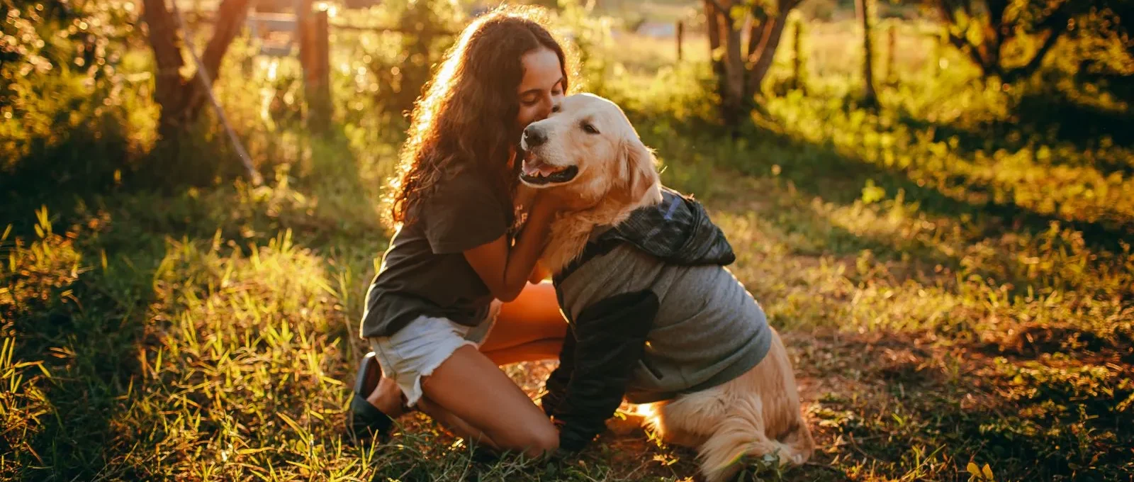 Owner hugging their happy dog — how to get your dog to love you more