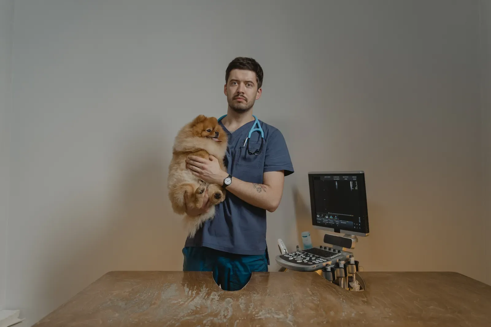 Dog owner comforting their dog at the veterinary clinic