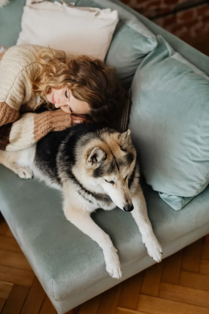 Why Does My Dog Follow Me Everywhere? The Complete Guide to Understanding Your Dog's Velcro Behavior 14 Dog snuggled next to its owner on the couch