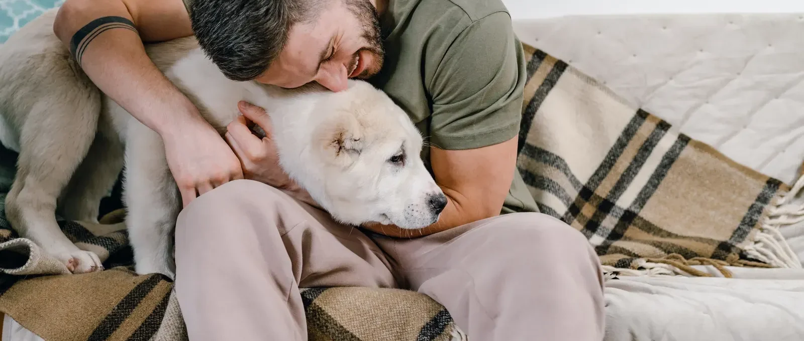 Dog gazing at its owner — 5 ways to earn your dog's love and trust