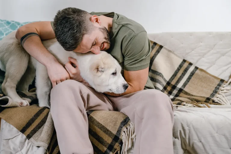 Dog gazing at its owner — 5 ways to earn your dog's love and trust