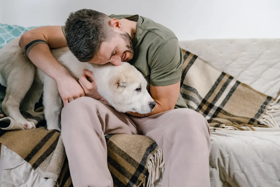 Dog gazing at its owner — 5 ways to earn your dog's love and trust