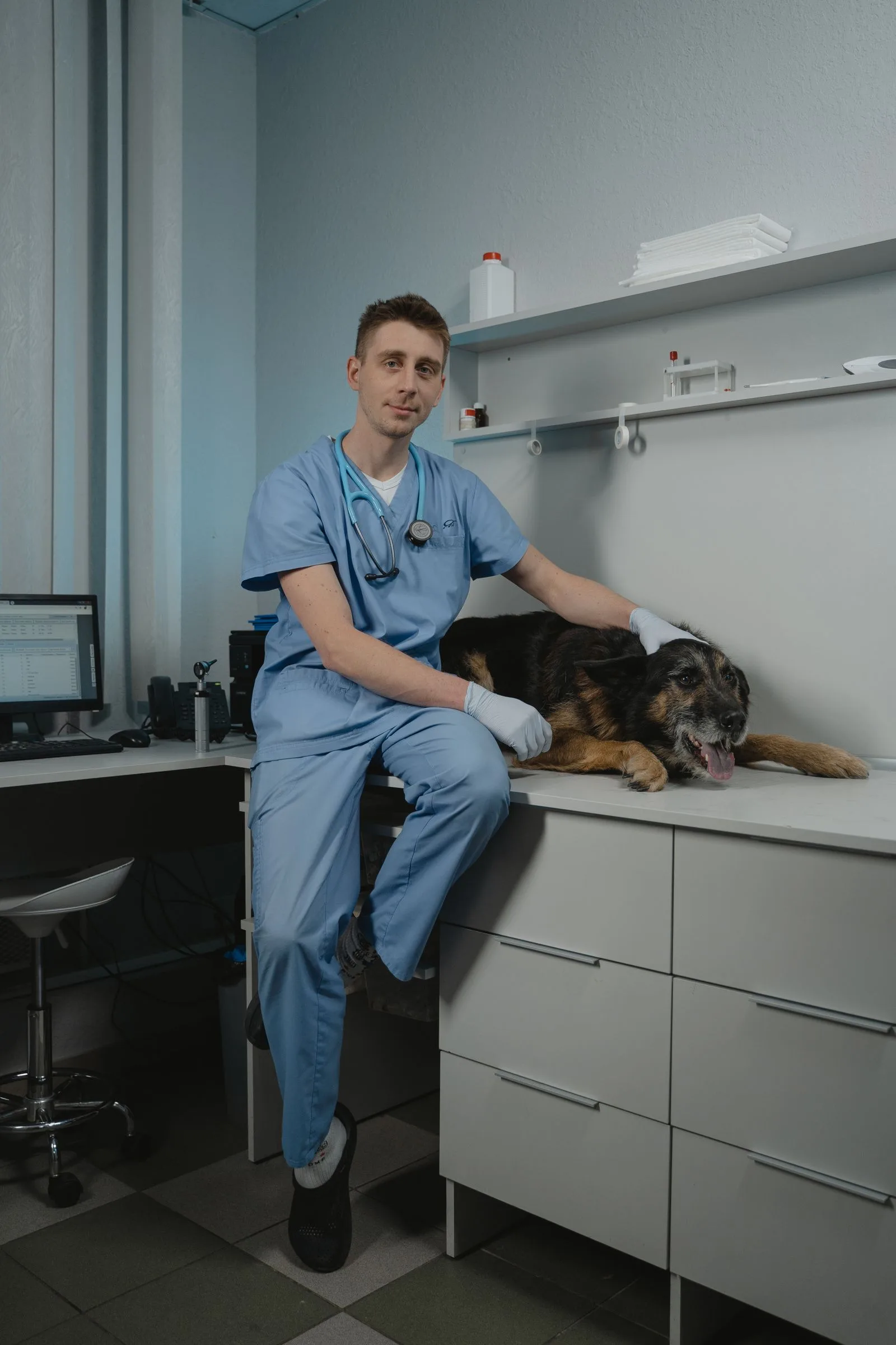 Does Pet Insurance Cover Pre-Existing Conditions? (2026 Guide) 12 Veterinarian examining a dog — vet records determine pre-existing condition exclusions