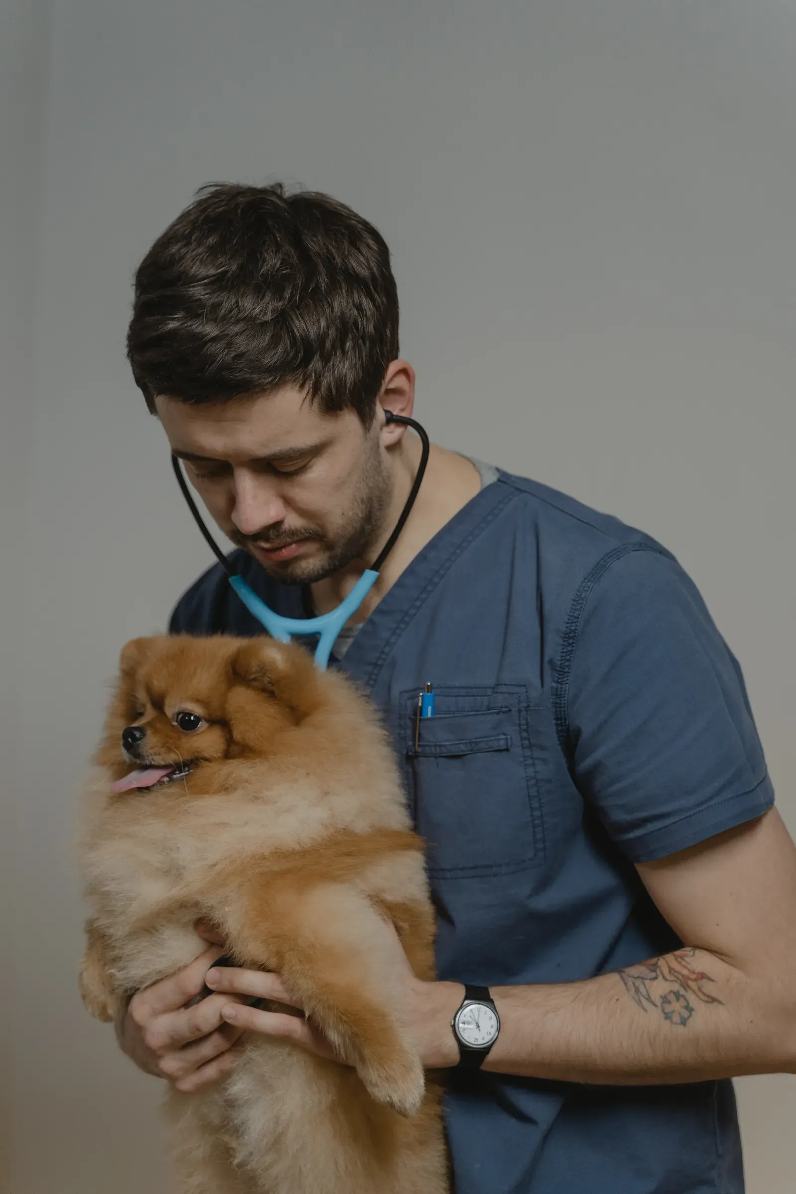 Is Pet Insurance Worth It? An Honest 2026 Breakdown 14 Dog being examined by a veterinarian