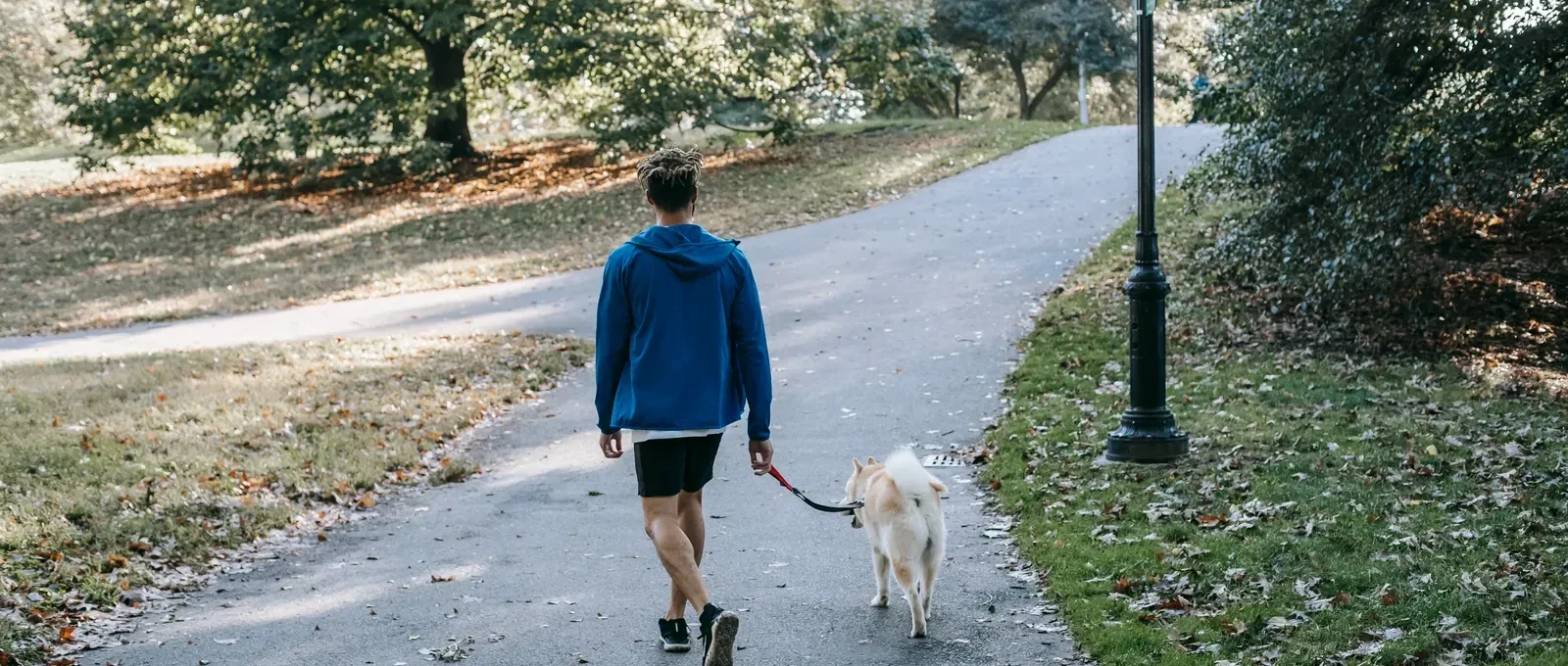 Owner walking a dog on leash — 15 expert dog walking tips
