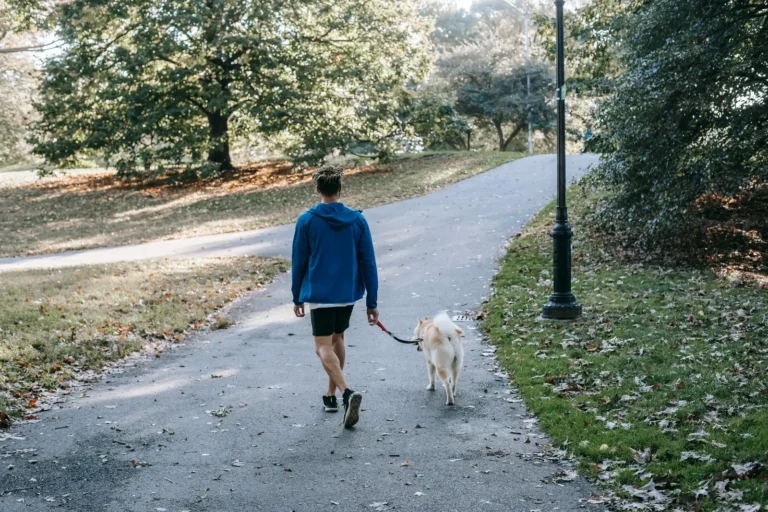 Owner walking a dog on leash — 15 expert dog walking tips