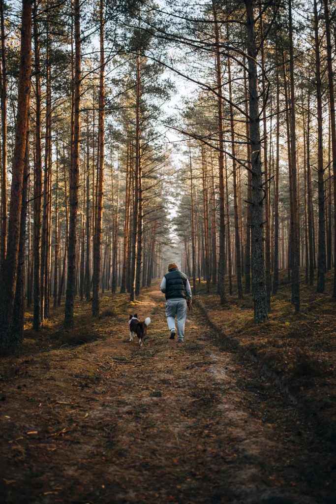 Dog walking on a nature trail — vary your routes