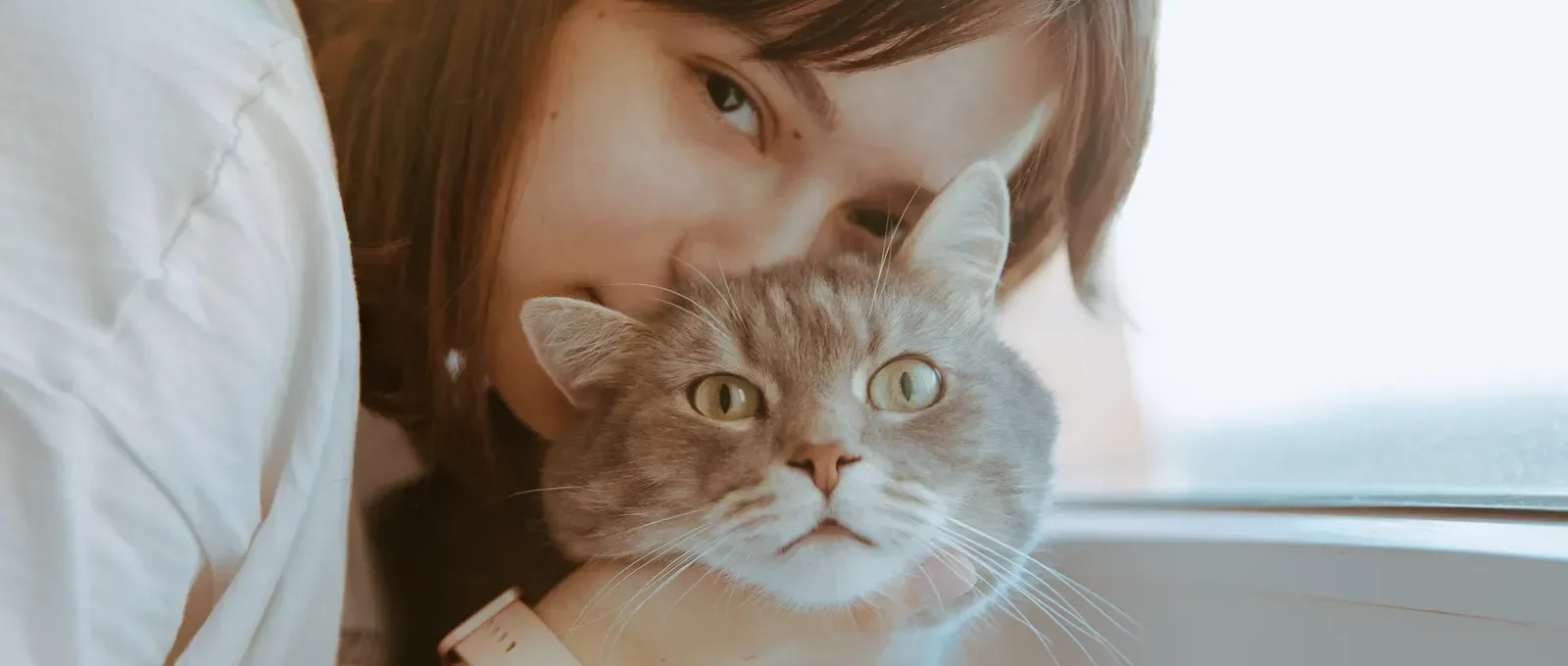 Happy cat bonding closely with its owner
