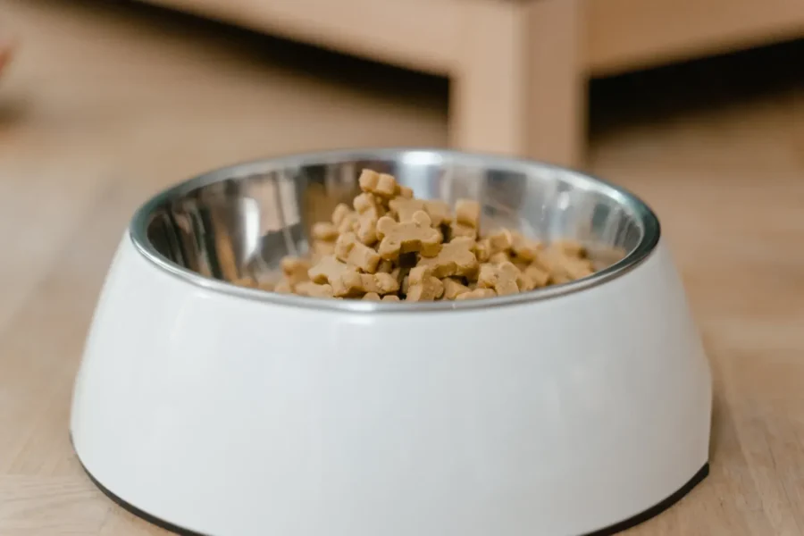 Preparing homemade dog food — complete guide
