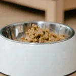 Homemade dog food recipes served in a bowl