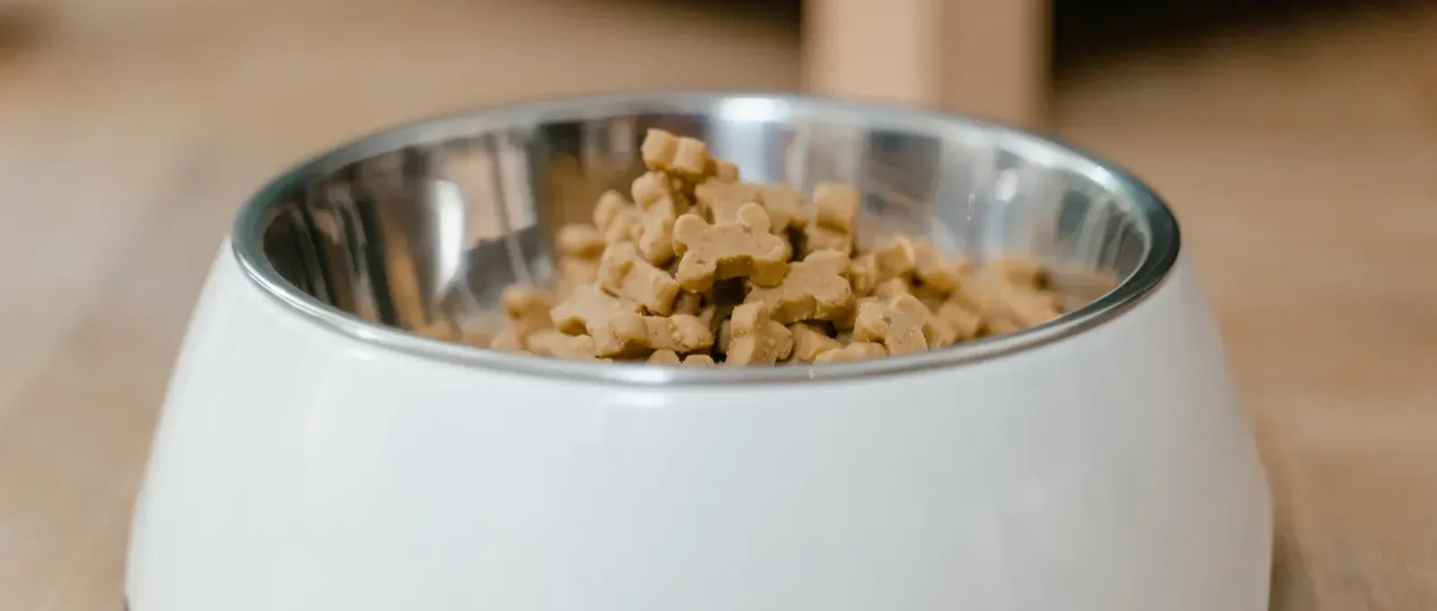 Homemade dog food recipes served in a bowl
