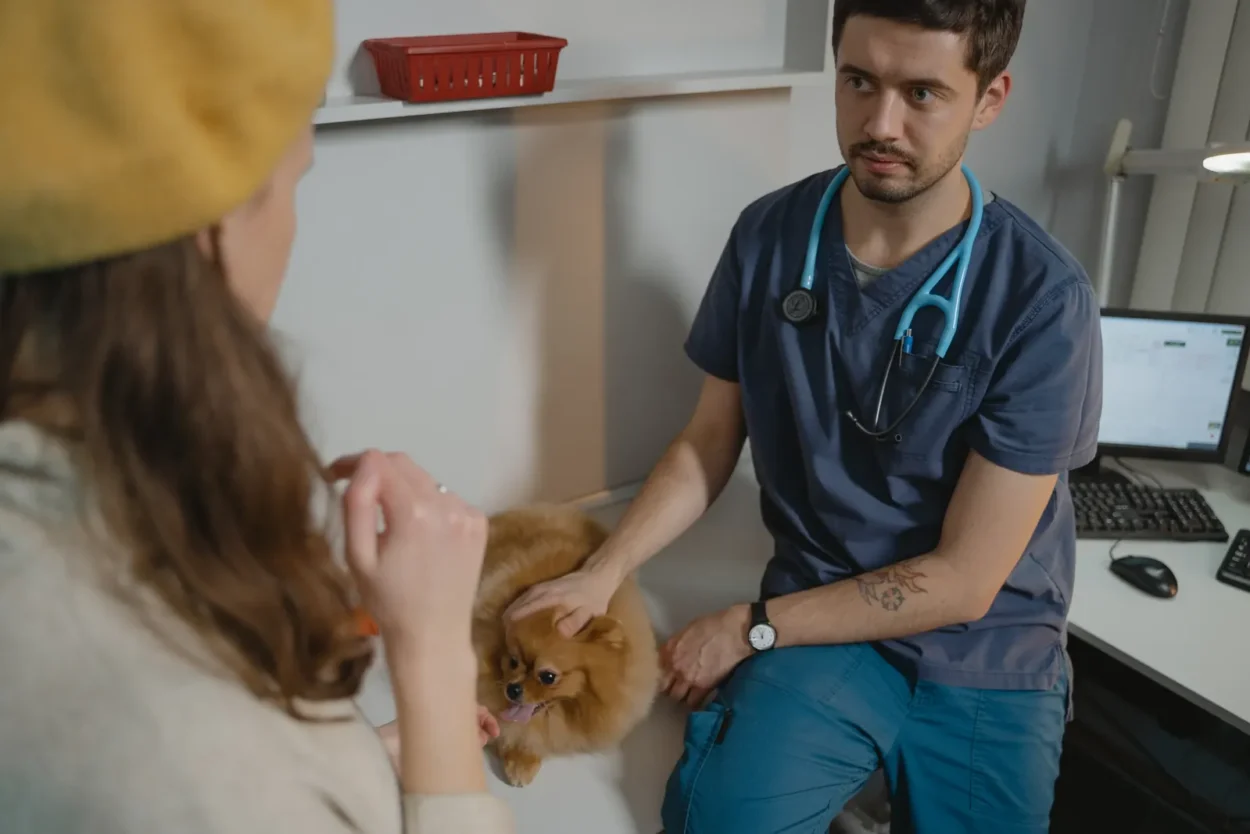 Dog with owner at the vet — pet insurance costs in 2026