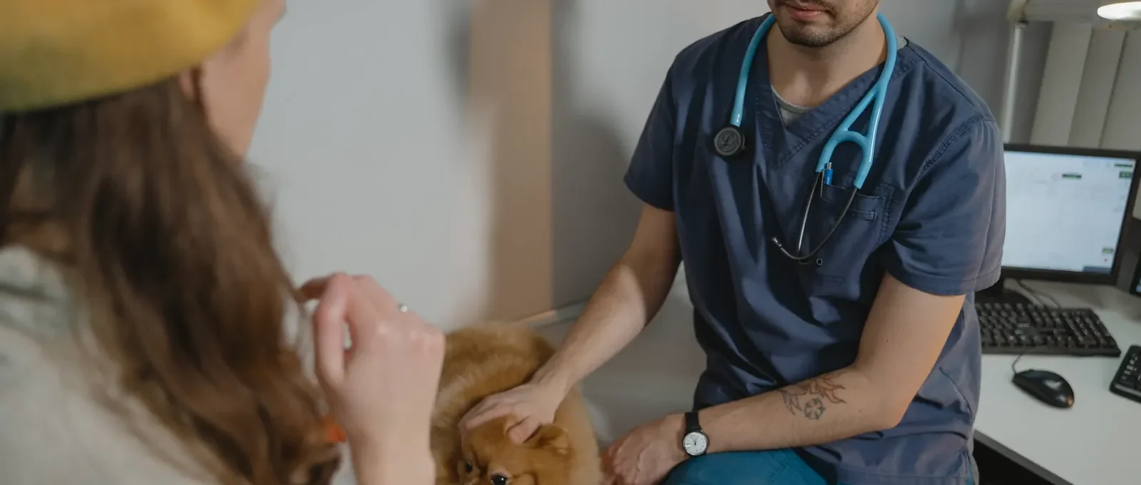 Dog with owner at the vet — pet insurance costs in 2026