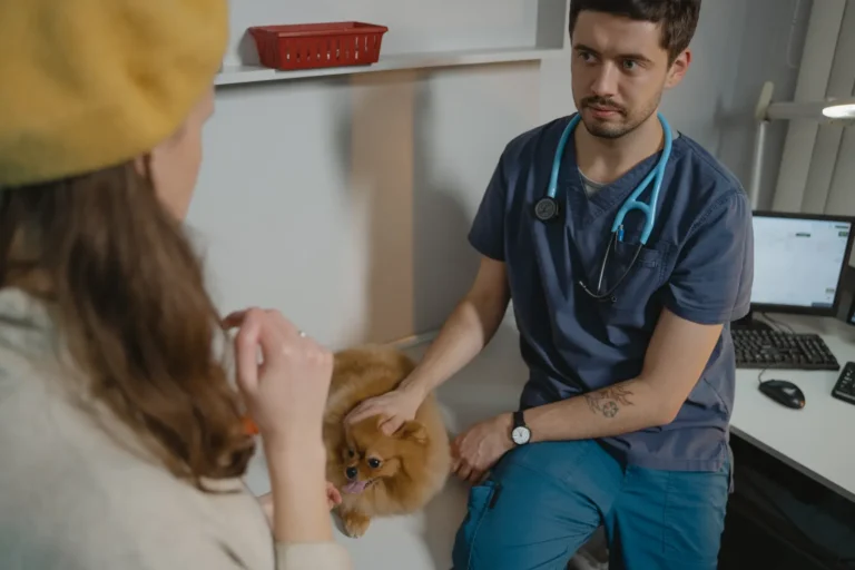 Dog with owner at the vet — pet insurance costs in 2026