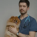 Dog at the vet — understanding pet insurance exclusions