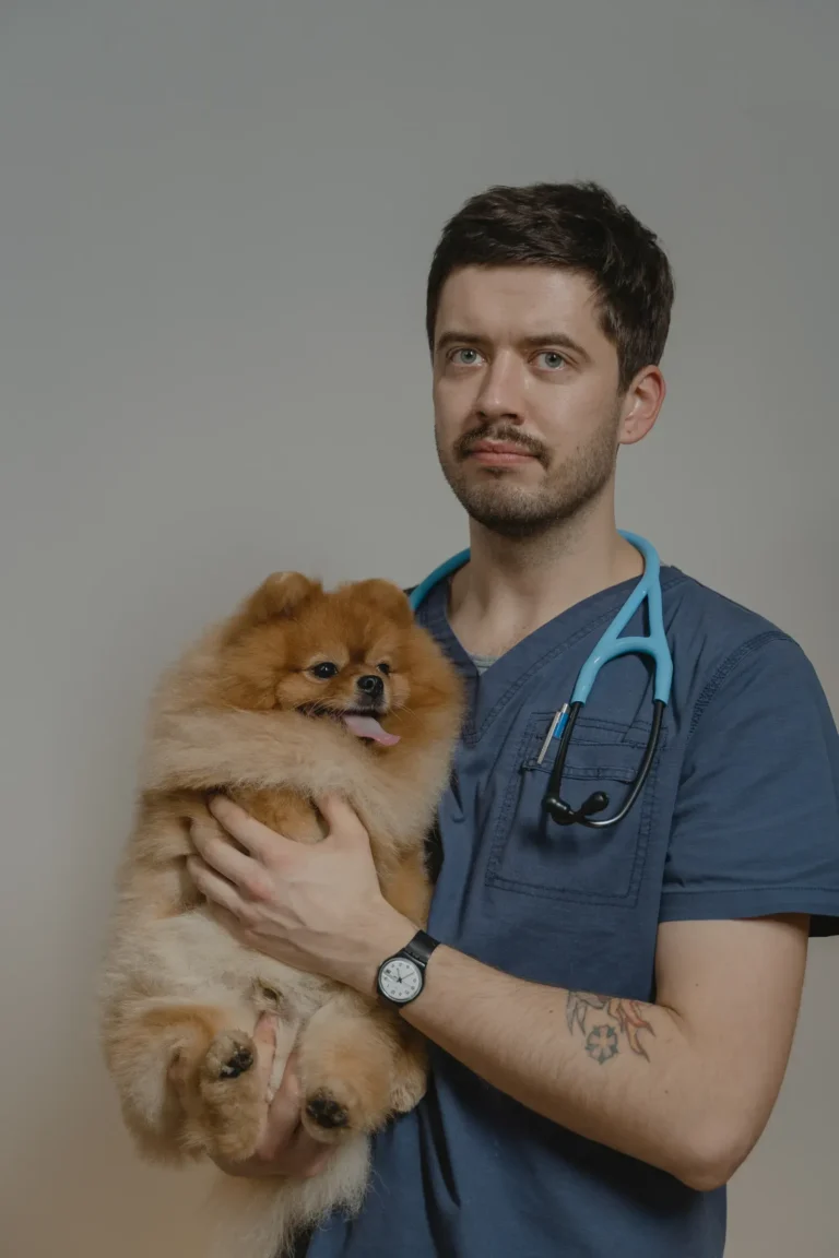Dog at the vet — understanding pet insurance exclusions