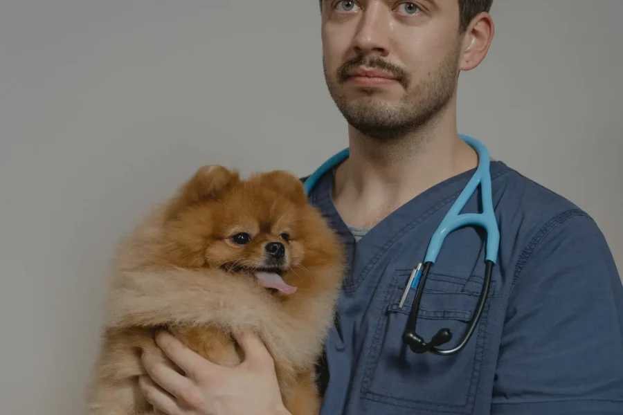 Dog at the vet — understanding pet insurance exclusions