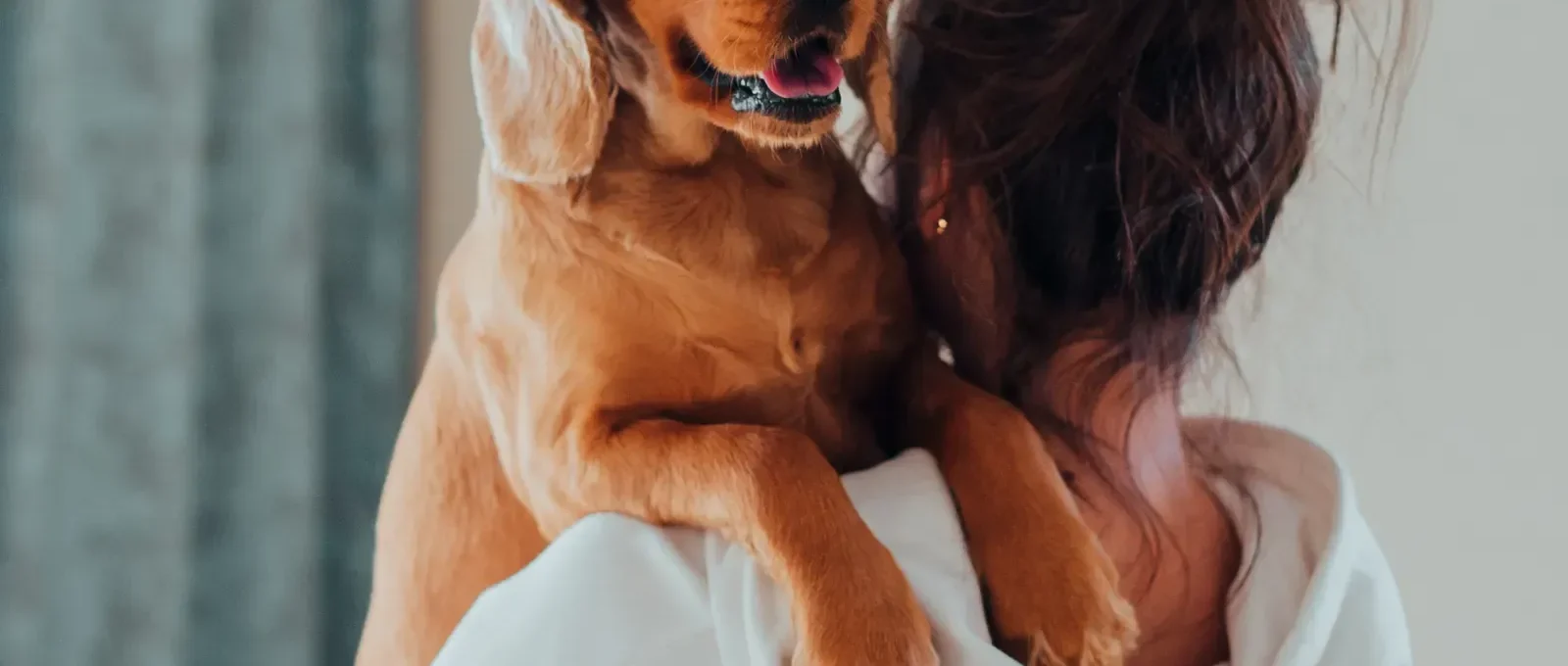 Dog owner deciding if pet insurance is worth it