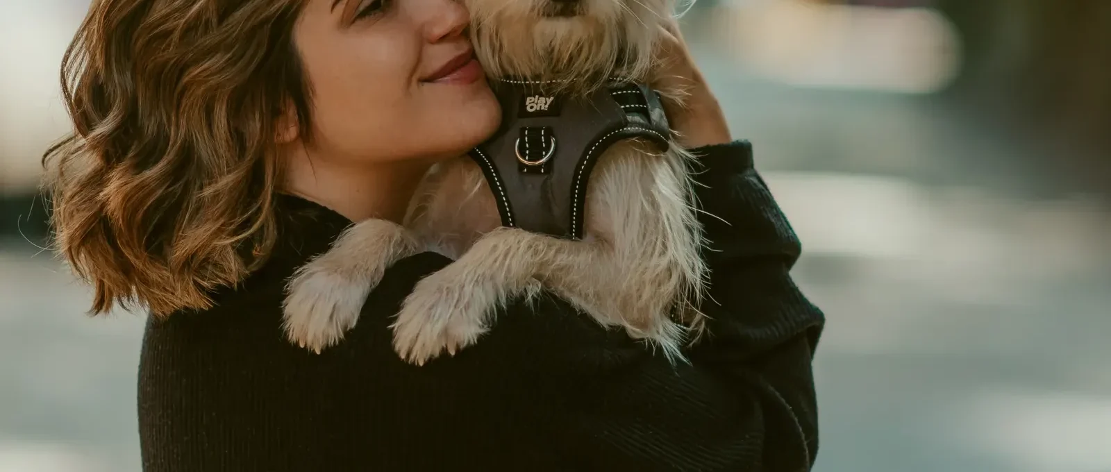 Owner holding their dog close — coping with the loss of a dog