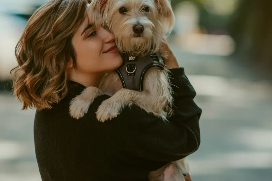Owner holding their dog close — coping with the loss of a dog