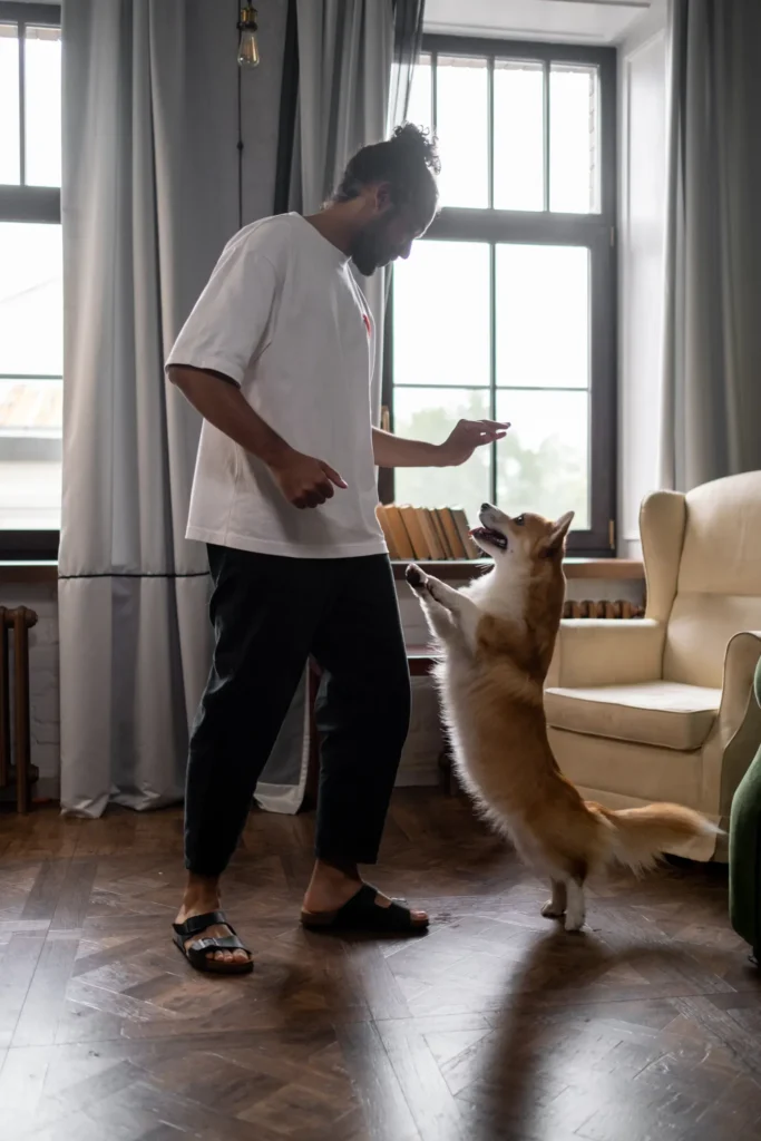 Owner scolding a dog — yelling teaches fear, not lessons