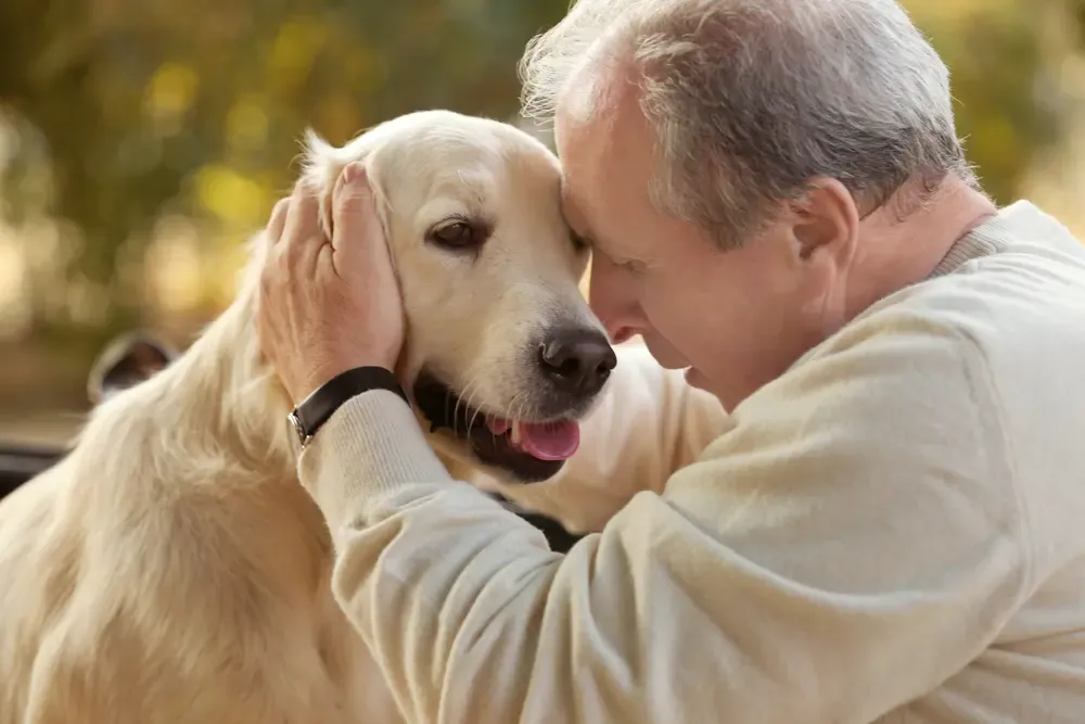 Best Pet Insurance for Senior Dogs (2026 Guide) 14 Owner comforting their senior dog