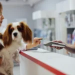 Pet owner reviewing a vet bill with their dog — understanding the pet insurance annual limit