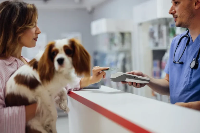 Pet owner reviewing a vet bill with their dog — understanding the pet insurance annual limit
