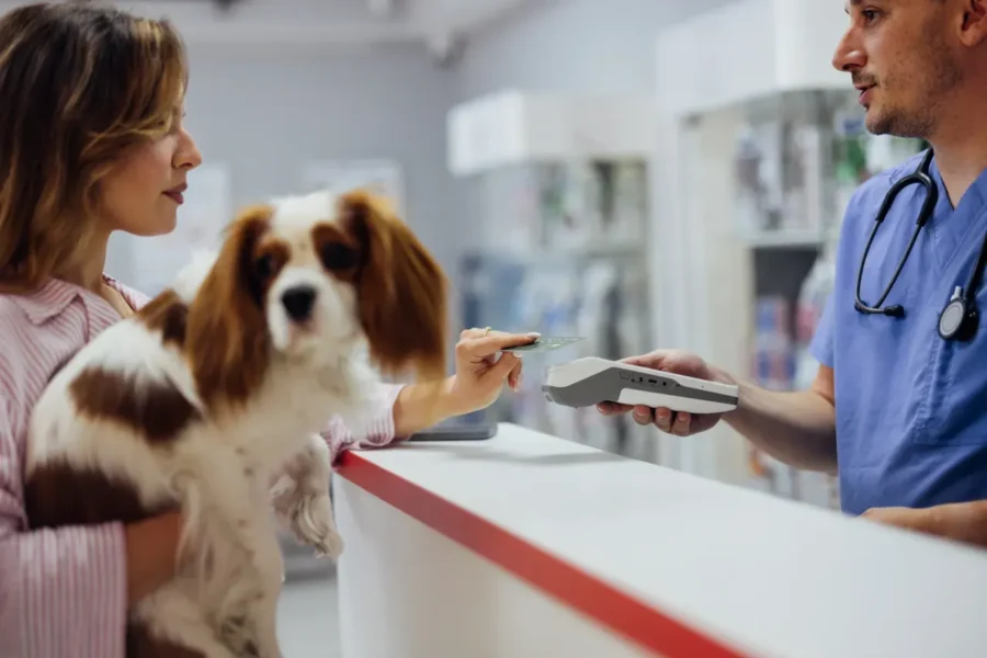 Pet owner reviewing a vet bill with their dog — understanding the pet insurance annual limit
